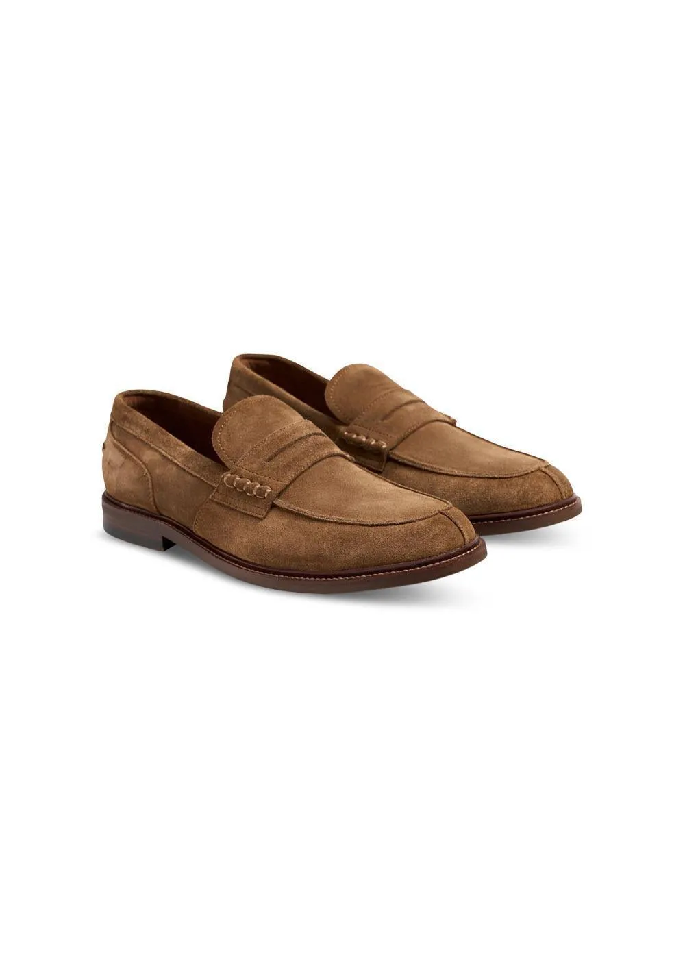 2500 - Camel